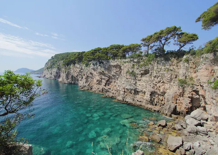 Aparthotel Kalamota House 4*