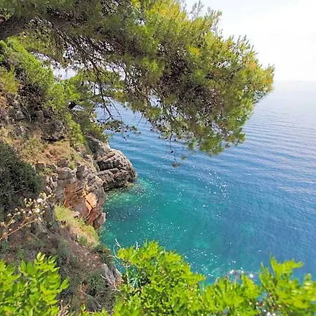 Kalamota House 4* Gornje Celo
